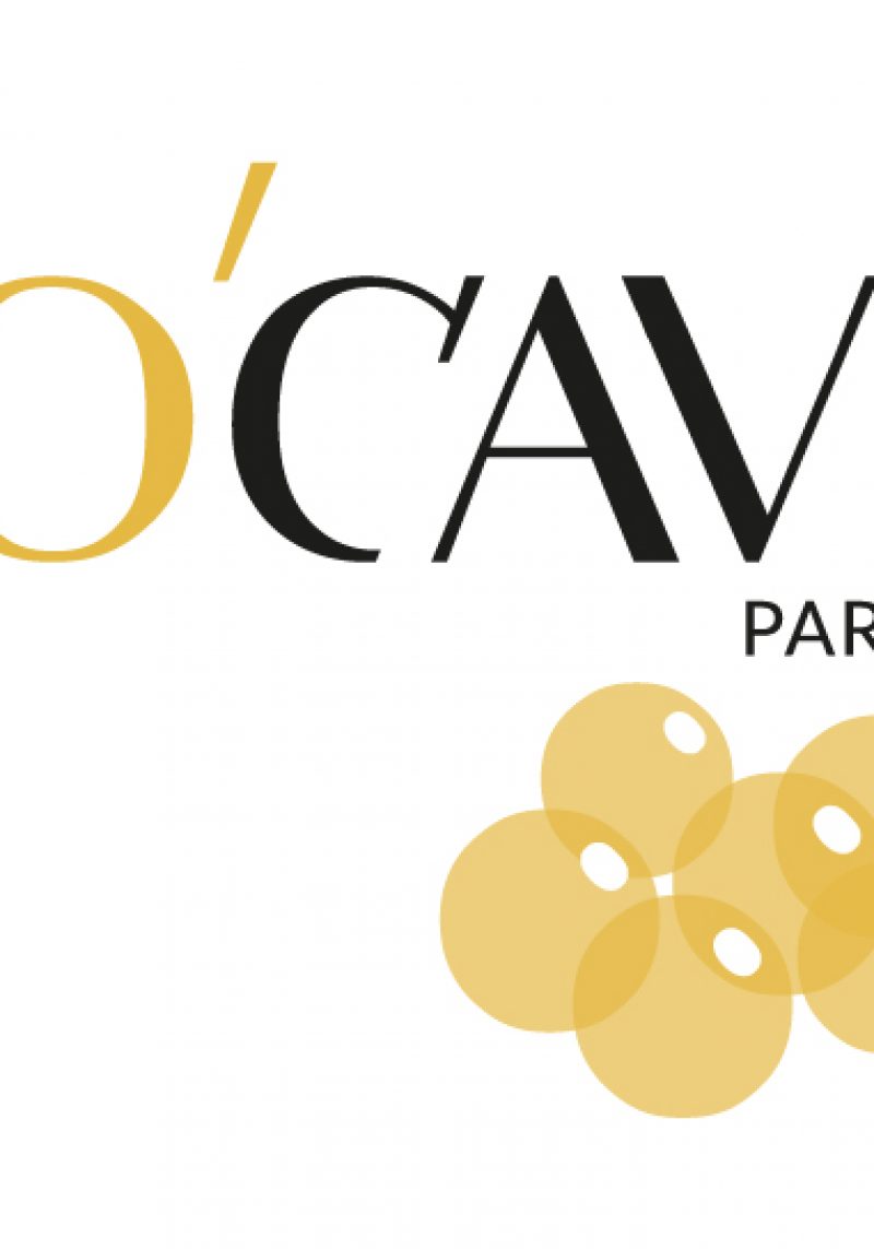 logo-OcaviV2-rvb